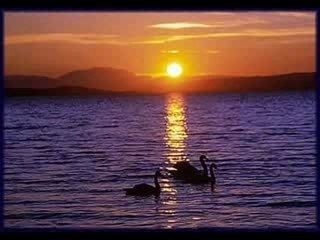 MEINE LIEBE IST Bedingungslos