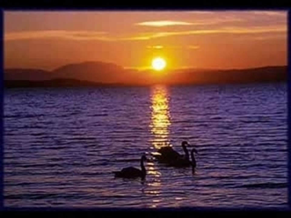 MEINE LIEBE IST Bedingungslos