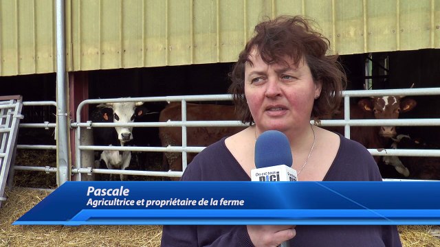 Hautes-Alpes : les producteurs fermiers inquiets à cause du changement d'heure