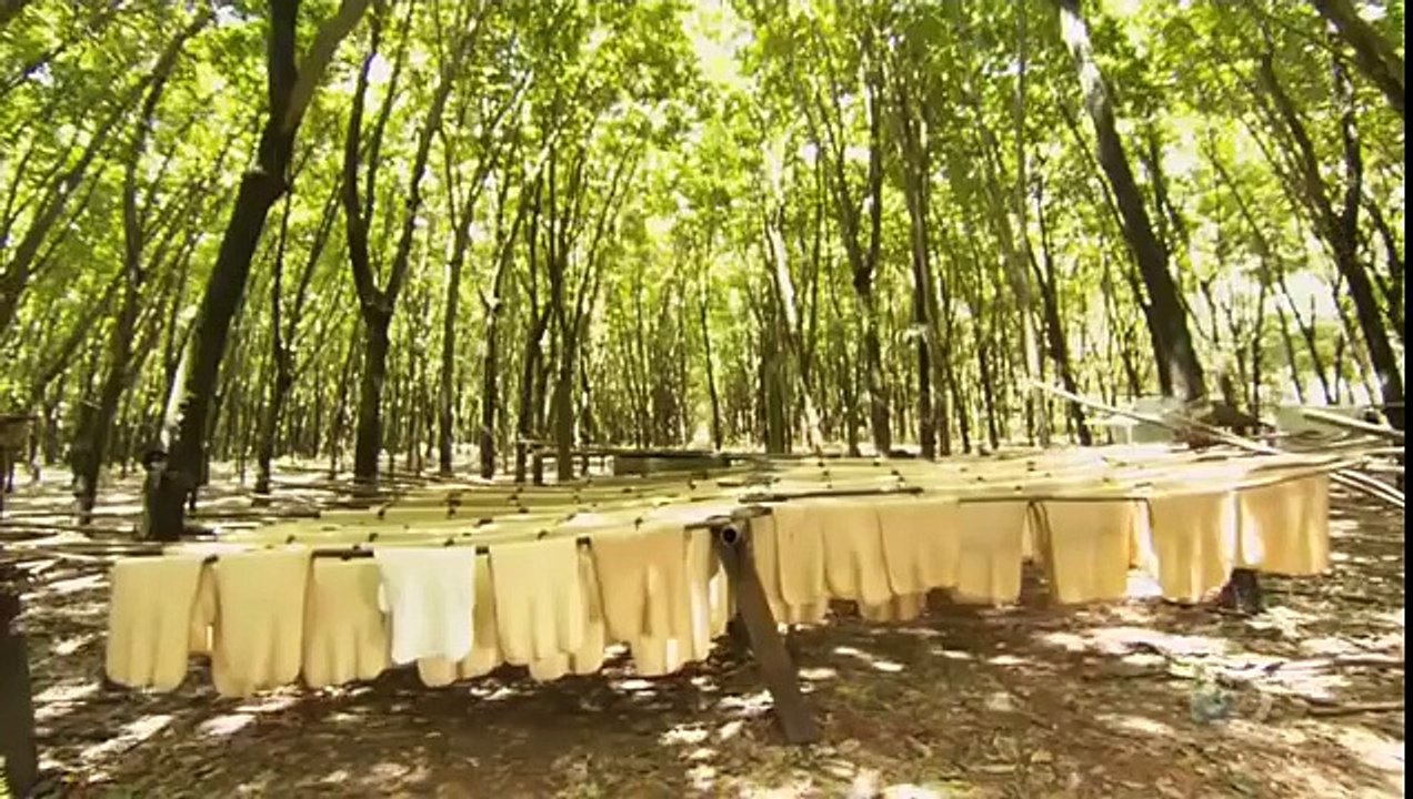 How Its Made Natural Rubber