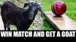 Maharastra cricketers get Goat for winning matches, chickens for runners-up | Oneindia News