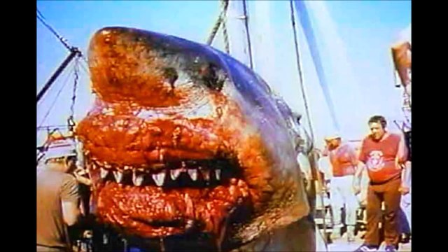 【閲覧注意】遭遇したらマジでヤバイ超巨大生物５０選www