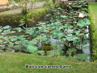 Bali - Programa Con Rita Colli