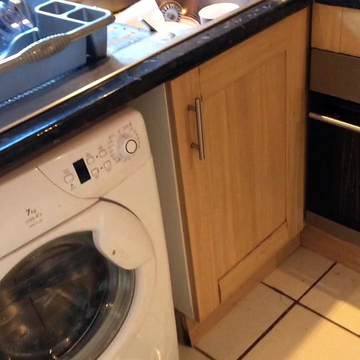 Cat Loves Cucumbers