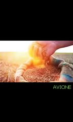 NEVER WASTE ENERGY, WATER OR FOOD, KNOW WHY