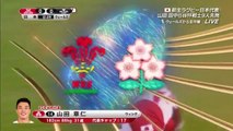 ラグビー日本代表「リポビタンDツアー2016」第2戦 ウェールズ代表戦後半part1