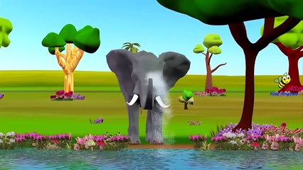 Lion Vs Elephant Cartoons Singing Finger Family Rhymes And More Children Nursery Rhymes