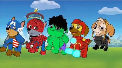 Paw Patrol Avengers Super Heroes Finger Family Animation Nursery Rhyme Song For Kids .