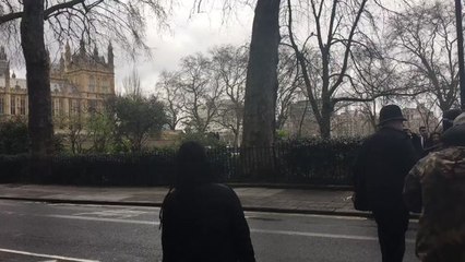 UK Parliament on Lockdown Following Westminster Bridge 'Terrorist' Incident