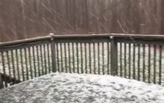 Heavy Hail Blankets Backyard in Cleveland, Tennessee