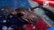 Cincinnati Zoo's Prematurely Born Hippo Has a Splashing Good Time