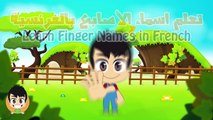 Learn French for Kids - تعليم اللغة الفرنسية للأطفال