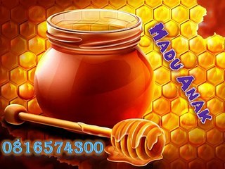 0816574300 (Indosat ) Distributor Madu Anak Kota Pematangsiantar