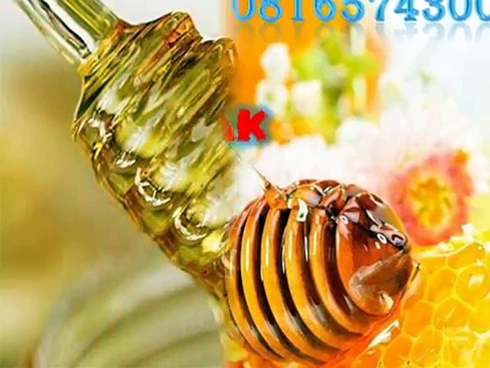 0816574300 (Indosat ) Distributor Madu Anak Kota Sibolga