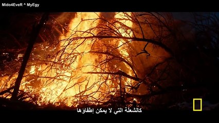 #وثائقى | أصل: رحلة البشرية الحلقة الأولى HD 720