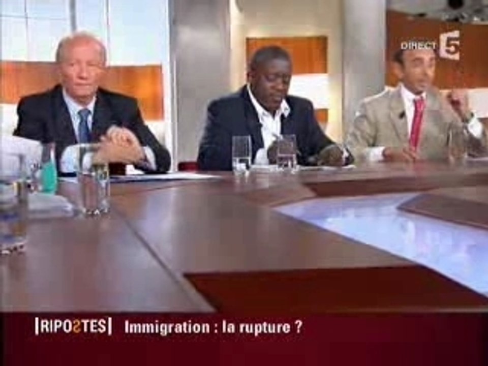 Immigration, Eric Zemmour (2)