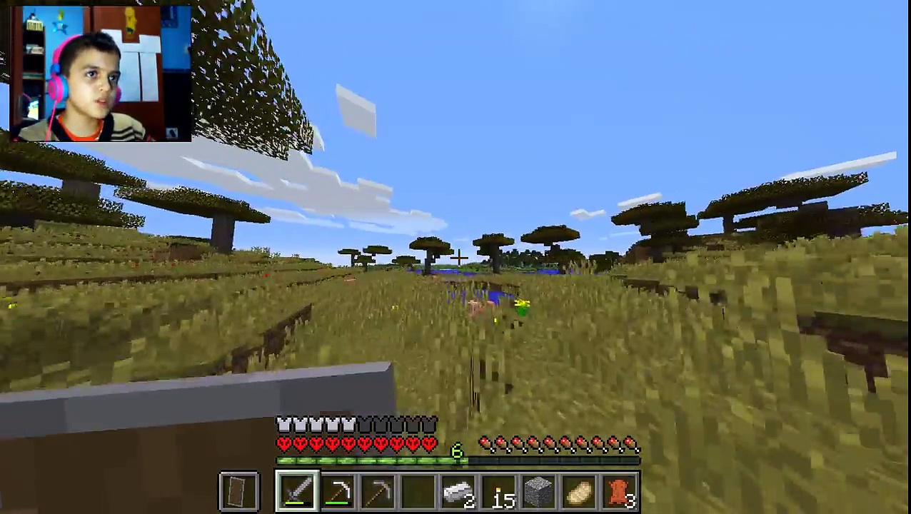 Minecraft