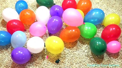 FUN Learn COLORS Balloons Popping Show Educational Video!