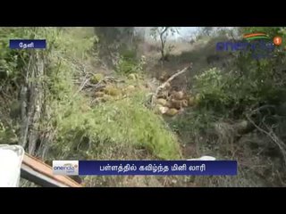 பலாப்பழம் ஏற்றி வந்த மினி லாரி  பள்ளத்தில் கவிழ்ந்து விபத்து - வீடியோ