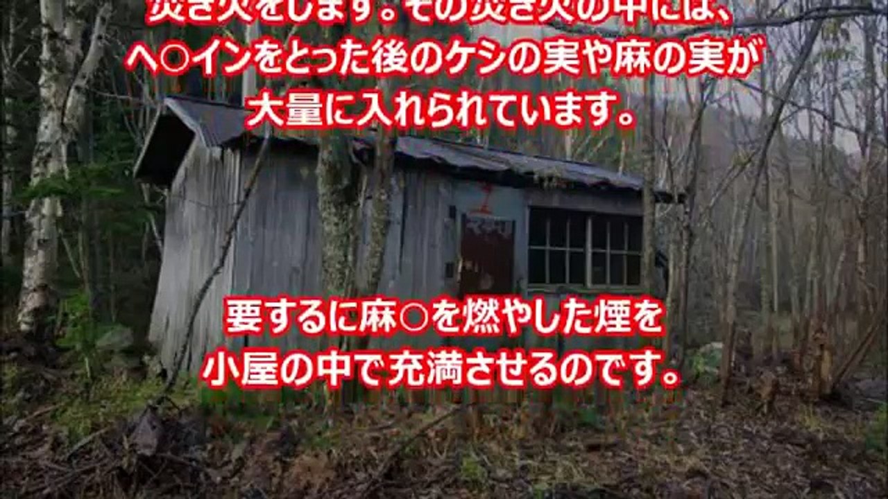 【閲覧注意】快楽処刑が恐ろし過ぎるwwww 【拷問の実態】