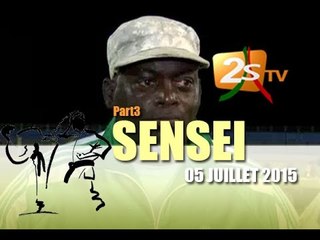 Sensei du 05 Juillet 2015 3p