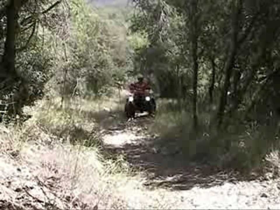 Quadsurveillance
