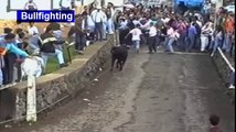 Funny videos 2017 : People Fails, Bull Fighting, Try not to laugh or grin
