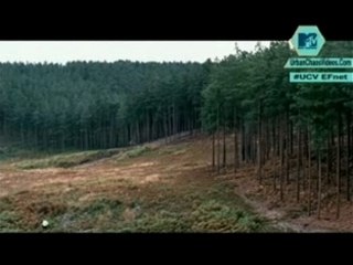 Cold Play - The Scientist