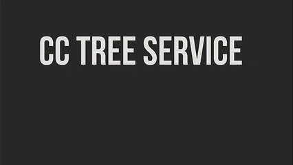 Tree Service Corpus Christi