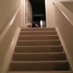 bebek mama yemek için bakın nasıl indi merdivenden