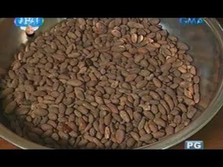 AHA: Inside Theo & Philo's chocolate factory