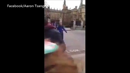 Video catches pedestrians running, shots fired in London