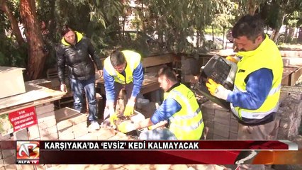 Karşıyaka’da ‘Evsiz’ Kedi Kalmayacak