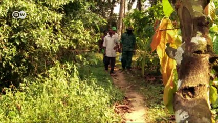 Swapping guns for motorbikes in Cameroon | DW English