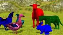 Learn Colors With Animals | Colors For Children Finger Family Song Nursery Rhymes Learning