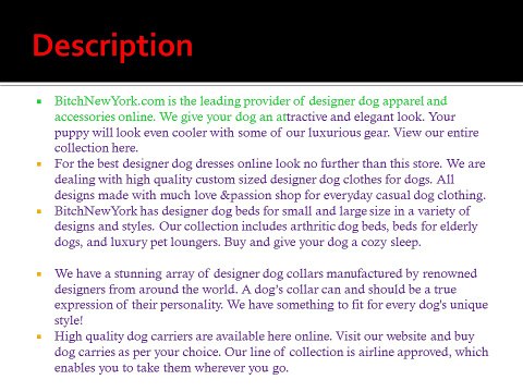 designer dog collars