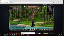 AQW lll Soloing Lair's red dragon with all of my classes!