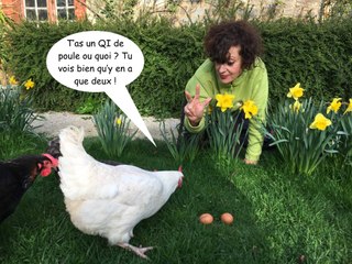 L'Animal & l'Homme, le rendez-vous de l'intelligence animale