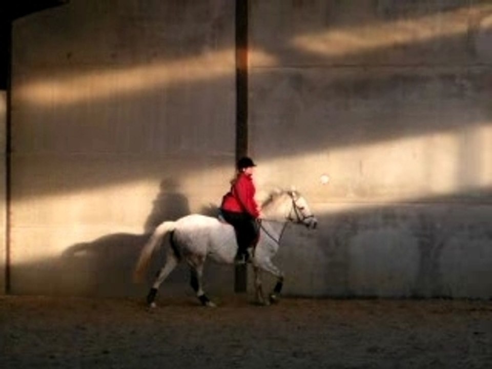 Cours - galop