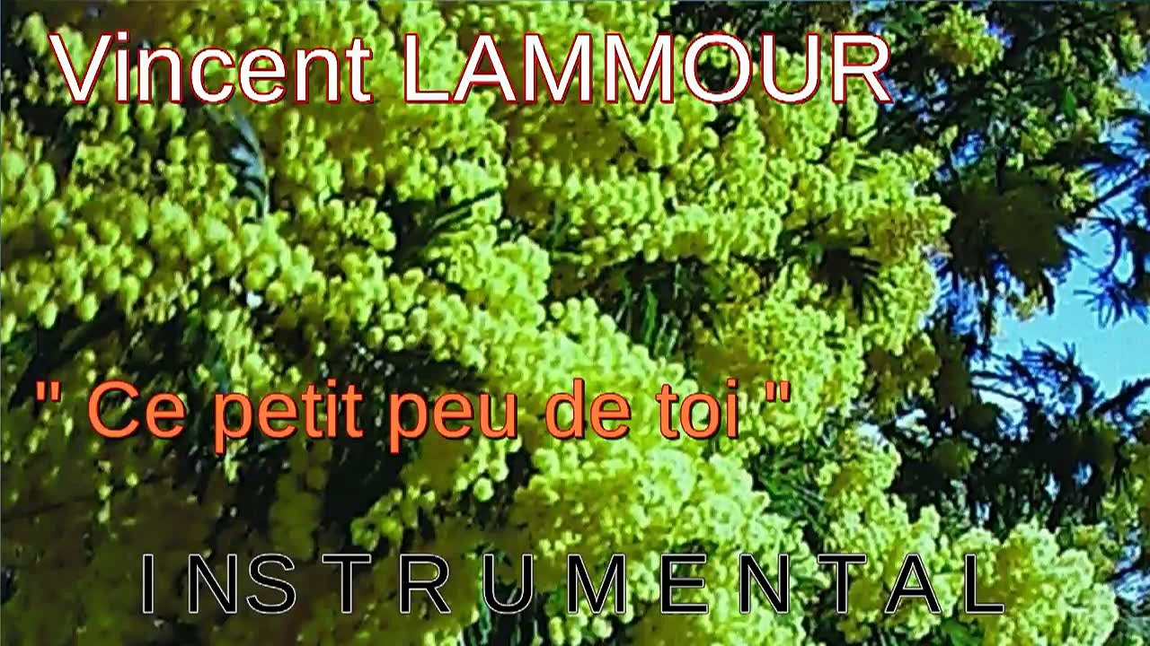 Ce petit peu de toi INSTRUMENTAL Vincent LAMMOUR