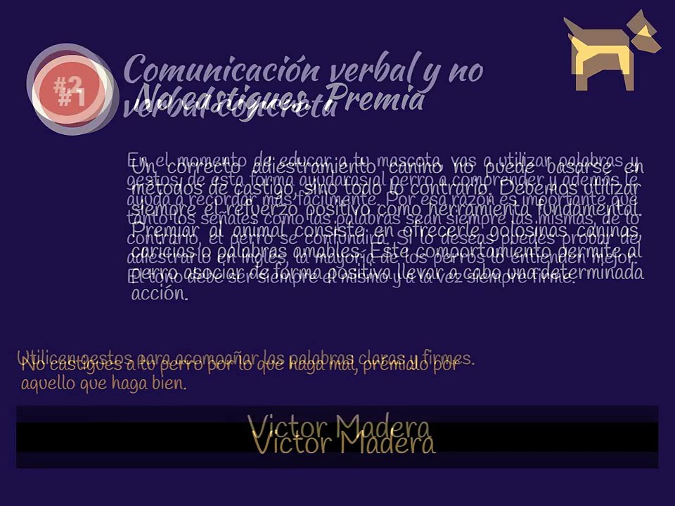 Victor Madera: 5 trucos para adiestrar a tu perro