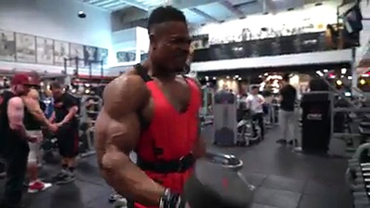 Simeo Panda Exercise Video