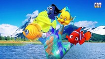 Finding Nemo Finger Family Songs - Daddy Finger Nursery Rhymes Disney Pixar Collection 30