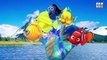 Finding Nemo Finger Family Songs - Daddy Finger Nursery Rhymes Disney Pixar Collection 30