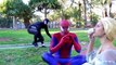 Spiderman vs Venom vs Frozen Elsa - Elsa Kidnapped - Real Life Superheroes Movie