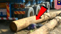 Kecelakaan di tempat kerja: supir truk lori tewas tertimpa balok kayu - TomoNews