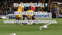 【海外の反応】「どんだけサッカー好きなんだよｗ」サッカーW杯日本代表戦でも話題になった豪州のカモメが試合中に負傷し救助される感動映像をご覧下さいw