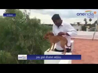 செத்துப்போன மனிதாபிமானம்... மாடியில் இருந்து நாயைத் தூக்கிப் போட்டவர் மருத்துவ மாணவர்