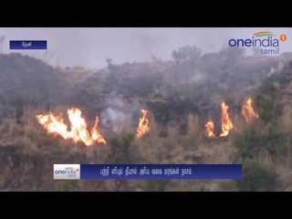 தேனி வனப்பகுதியில் பற்றி எரியும் காட்டுத் தீ... அரிய வகை மரங்கள் தீயில் எரிந்து சேதம்