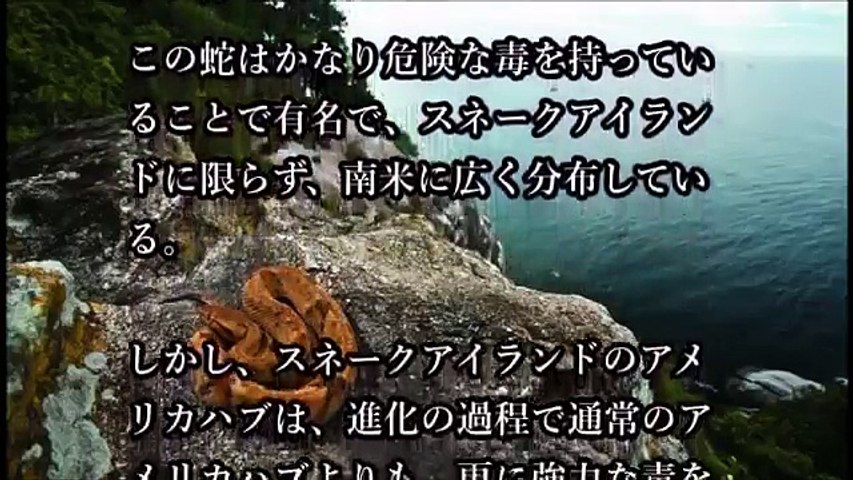 地球上で最も危険な無人島 スネークアイランド 怖い動画 閲覧注意 新感覚ゲームチャンネルベギラゴンズ Www Youtube Com User Begirag Video Dailymotion